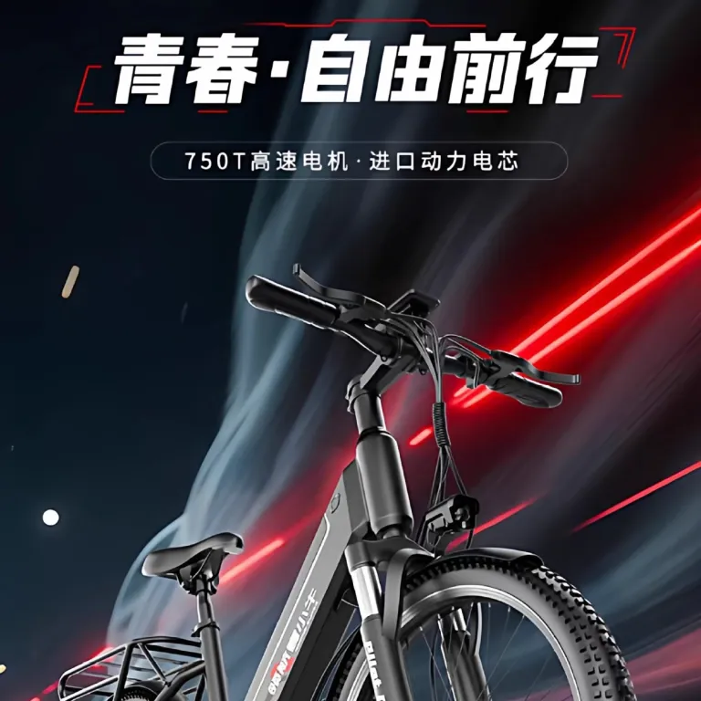 دوچرخه برقی کمکی کارخانه E-bike دوچرخه کوهستان 21 دوچرخه برقی سرعتی 26 اینچ دوچرخه برقی