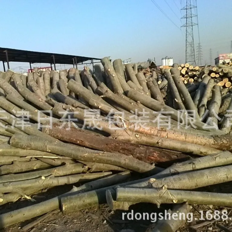 انواع تخته چوب صنوبر، الوار صنوبر، چوب گوشه بخور داده، چوب زیرپالت، الوار چوبی با قیمت ارزان