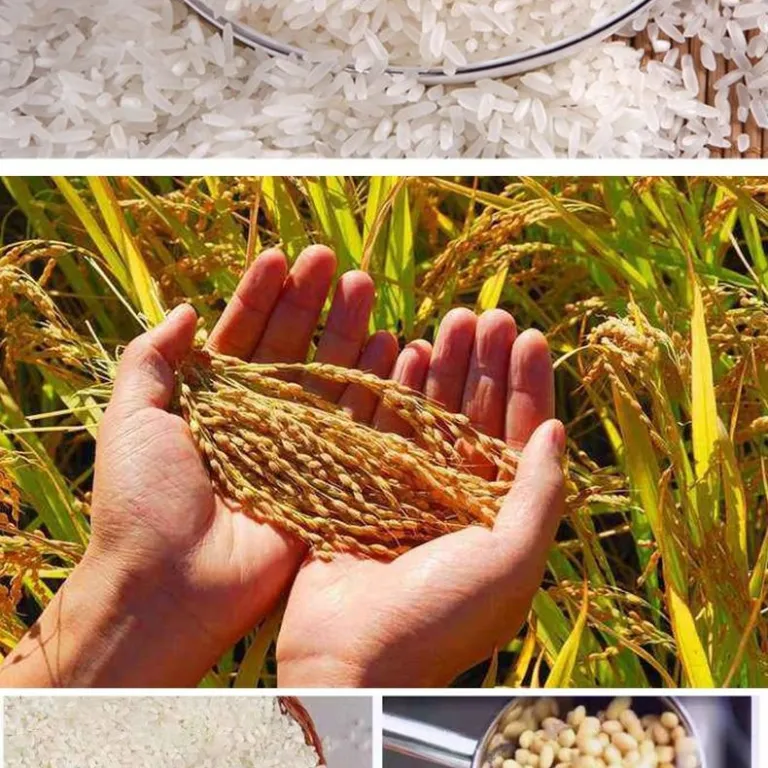 دستگاه ترکیبی جدید لرزاننده سنگ‌گیر و علف‌گیر الماسه، آسیاب برنج و خردکن خانگی