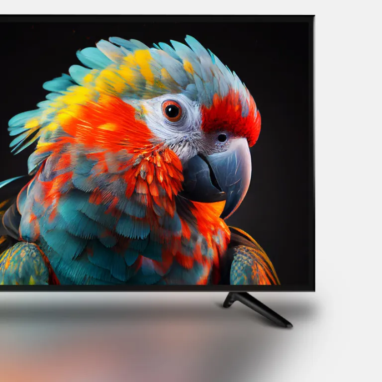 تلویزیون ضد انفجار 85/75/100 اینچ نمایشگر HD شبکه LCD هتل خانگی صادراتی