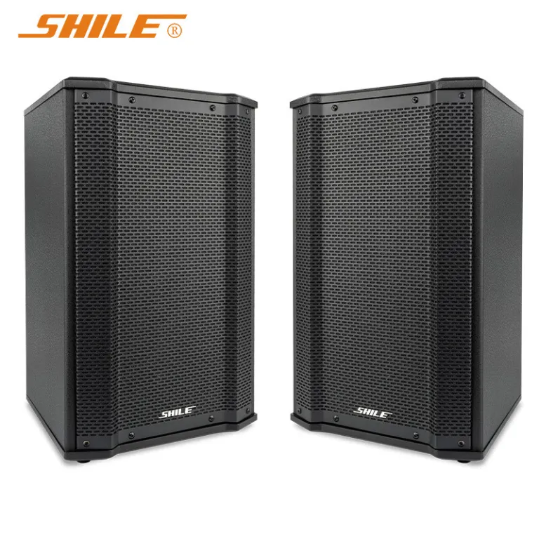 اسپیکر غیرفعال حرفه‌ای شیرو 10 اینچی 120W پرقدرت امپدانس ثابت، یک جفت بلندگوی دیواری سالن کنفرانس BX-106
