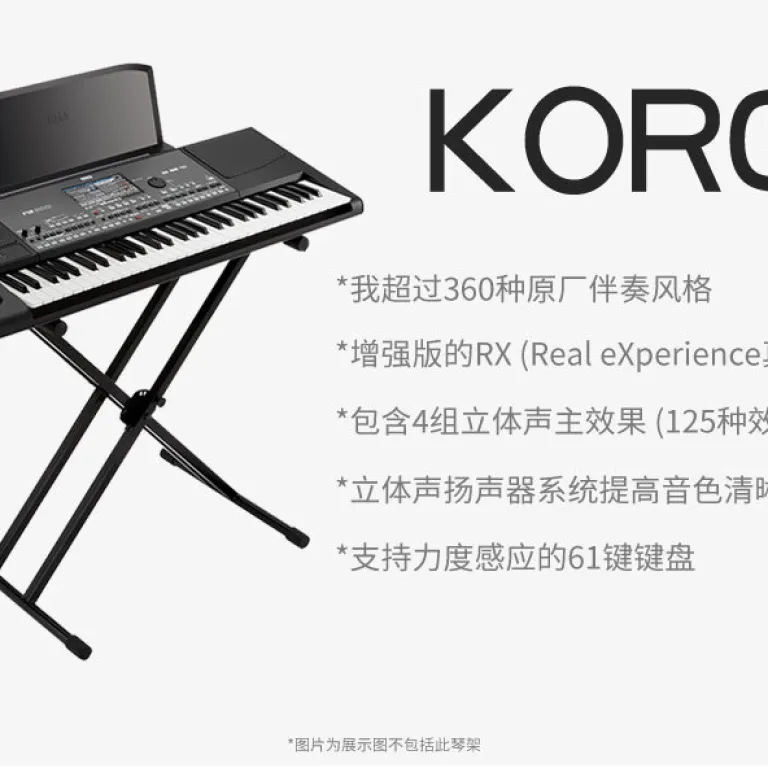 سینتیسایزر KORG کورگ EK50 PA600 PA700 PA1000 PA4X کیبورد حرفهای تنظیم و همراهی