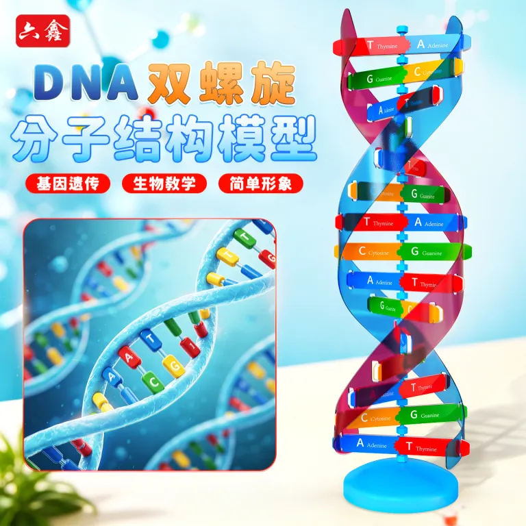 مدل اجزای ساختار مارپیچ دوگانه DNA، ابزار آموزشی ژنتیک و واریاسیون زیستی، دستگاه آزمایشگاهی