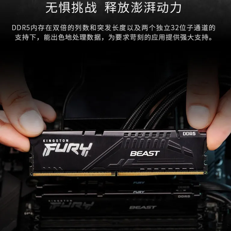 رم Kingston ShenTiao DDR5 6000MHz 16GB*2 رم دسکتاپ نسل پنجم سری Beast