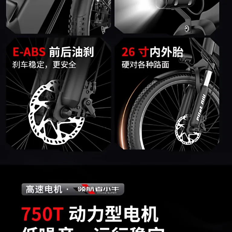 دوچرخه برقی کمکی کارخانه E-bike دوچرخه کوهستان 21 دوچرخه برقی سرعتی 26 اینچ دوچرخه برقی