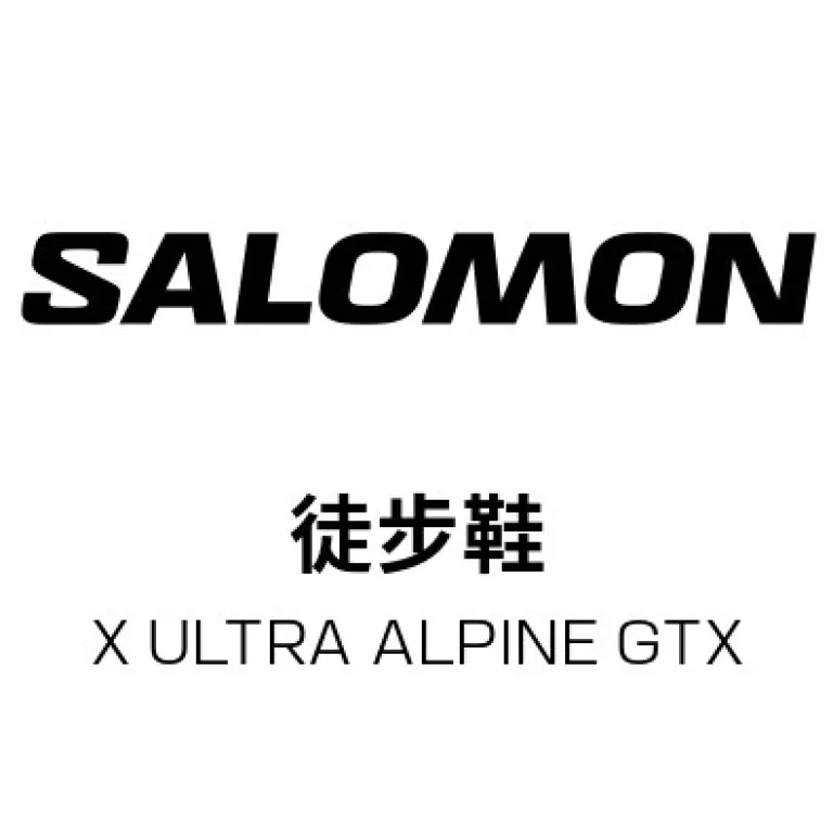 کفش پیاده‌روی ضدآب مردانه سالومون X ULTRA ALPINE GTX