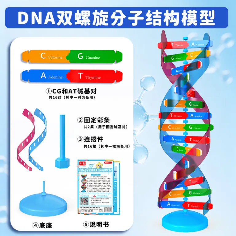 مدل اجزای ساختار مارپیچ دوگانه DNA، ابزار آموزشی ژنتیک و واریاسیون زیستی، دستگاه آزمایشگاهی