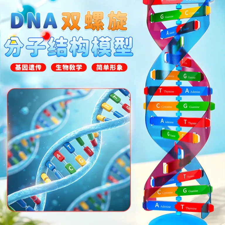 مدل اجزای ساختار مارپیچ دوگانه DNA، ابزار آموزشی ژنتیک و واریاسیون زیستی، دستگاه آزمایشگاهی