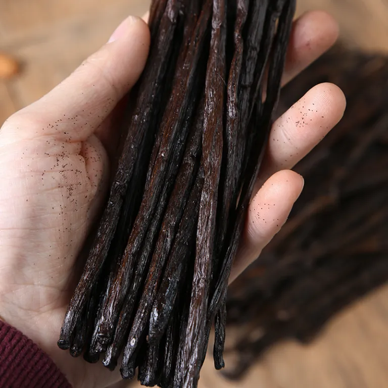 وانیل ماداگاسکار بن 13-19cm تک غلاف وانیل تاهیتی، چوب وانیل جزیره ماداگاسکار مخصوص پخت و پز