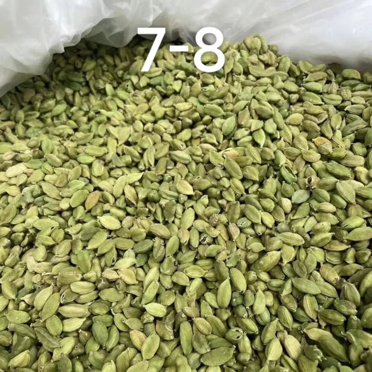 هل سبز ریز 10 کیلوگرم عمده در کارتن برای مصارف تجاری، مواد غذایی و نوشیدنی، بسته‌بندی 50 گرمی برای مصارف خانگی