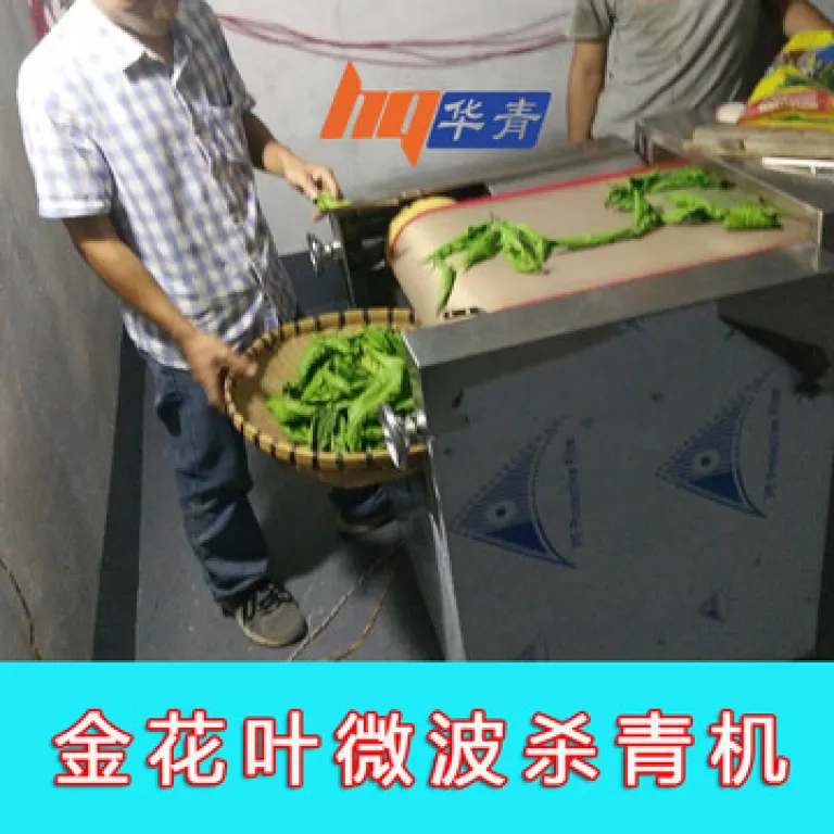 دستگاه خشک‌کن مایکروویو چوب بستنی | خشک‌کن مایکروویو چوب بستنی برای ضدعفونی مواد غذایی و تولید