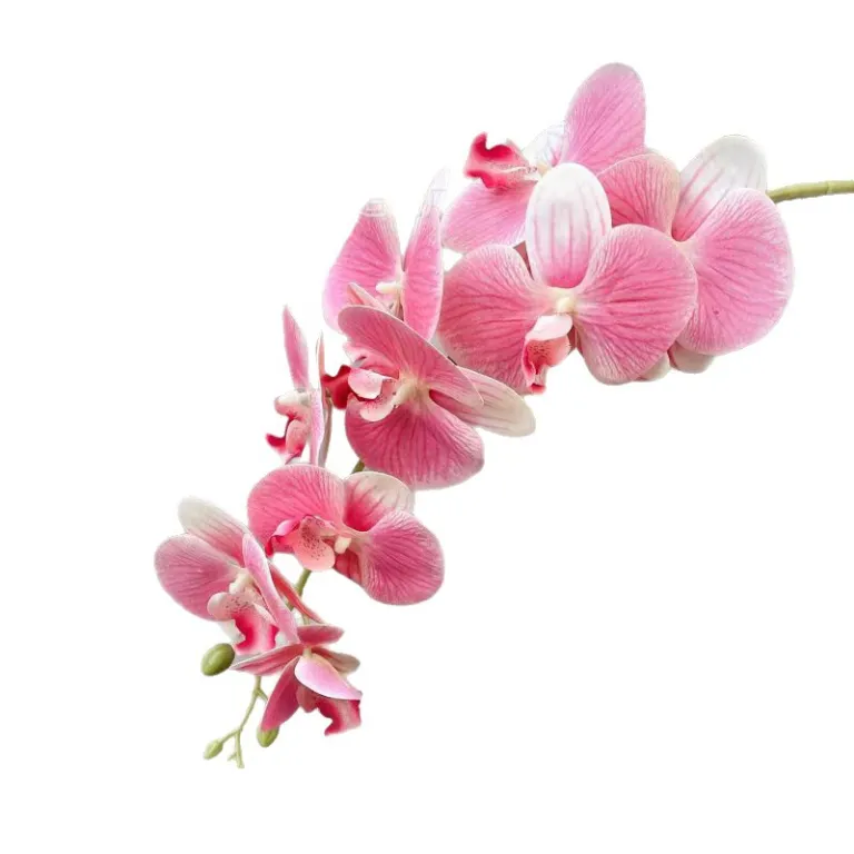 9 گل ارکیده پروانه‌ای مصنوعی با گلبرگ فیلمی 3D چاپی با حس لمس واقعی، گل ارکیده مصنوعی برای عروسی، گل‌آرایی و دکوراسیون منزل