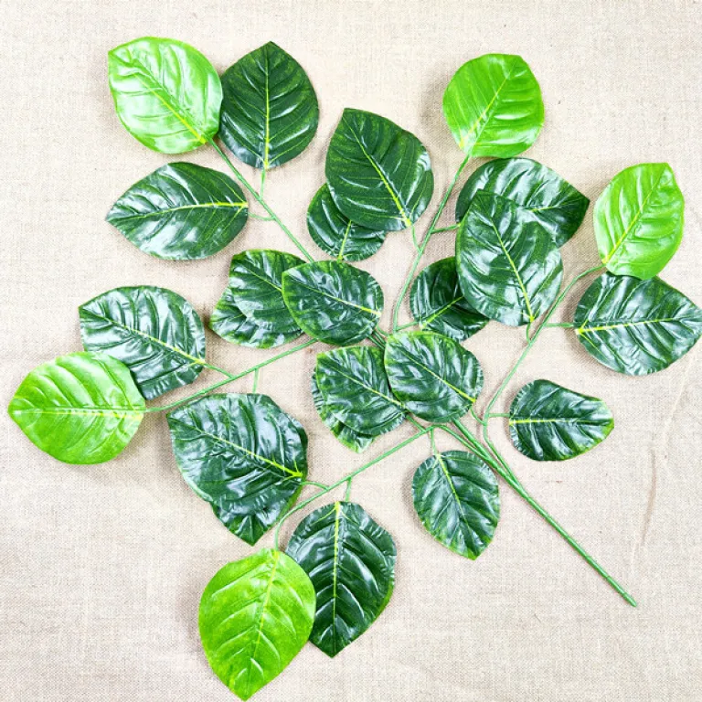 تصویر کالا