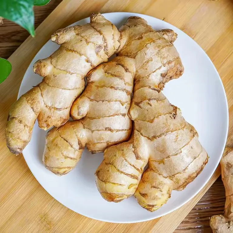 زنجبیل تازه شاندونگ، زنجبیل کهنه مرغوب مخصوص زایمان، زنجبیل تازه زرد کهنه، ارسال رایگان، زنجبیل زرد درشت، ارسال تکی