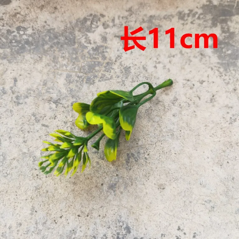 تصویر کالا