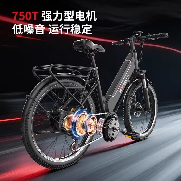 دوچرخه برقی کمکی کارخانه E-bike دوچرخه کوهستان 21 دوچرخه برقی سرعتی 26 اینچ دوچرخه برقی