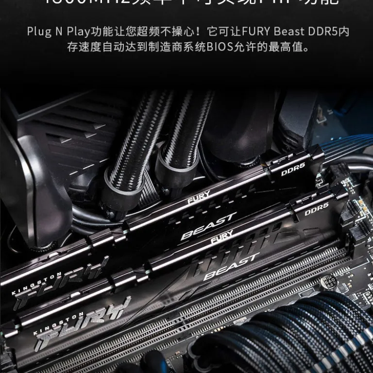 رم Kingston ShenTiao DDR5 6000MHz 16GB*2 رم دسکتاپ نسل پنجم سری Beast