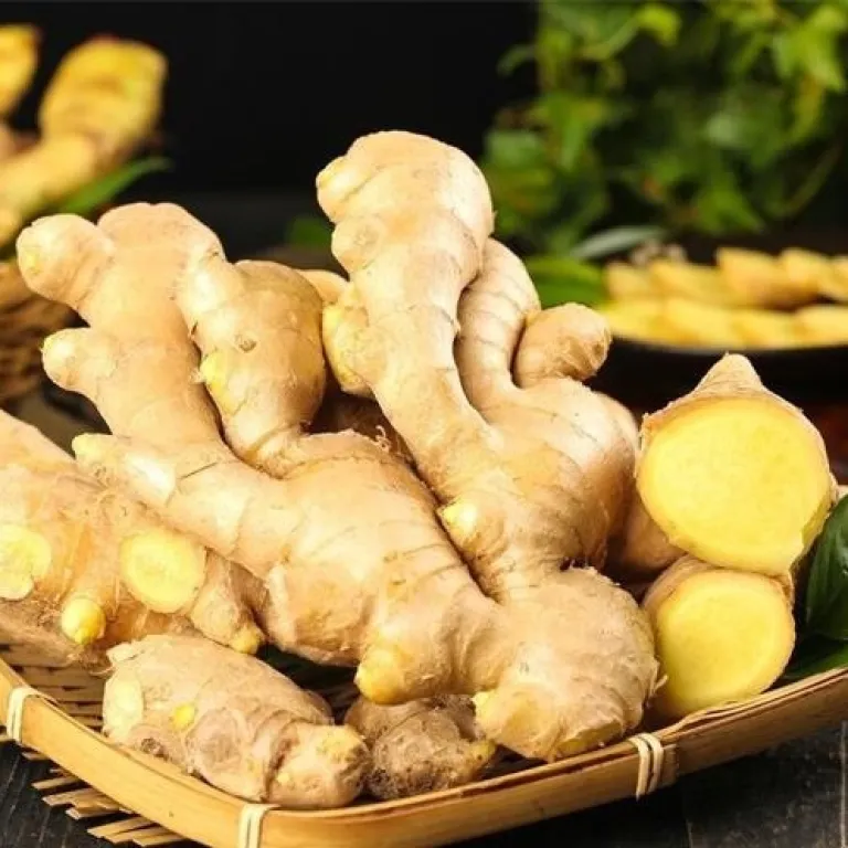 زنجبیل تازه شاندونگ، زنجبیل کهنه مرغوب مخصوص زایمان، زنجبیل تازه زرد کهنه، ارسال رایگان، زنجبیل زرد درشت، ارسال تکی