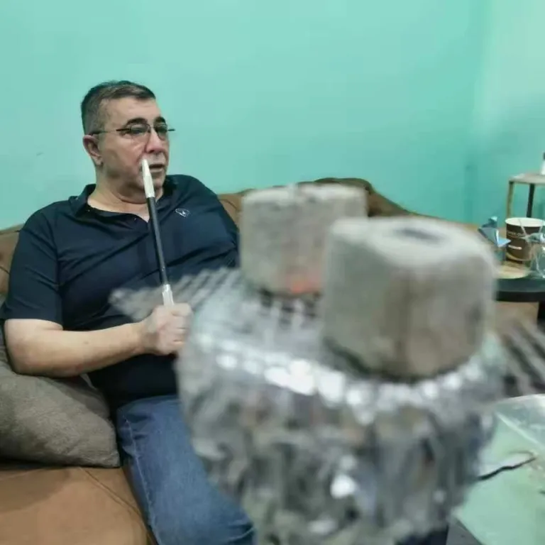 ذغال قلیان عربی، ذغال باربیکیو، ذغال بامبو، ذغال برش خورده، ذغال مربعی، صادراتی به عراق و خاورمیانه، ماشینی با دمای بالا