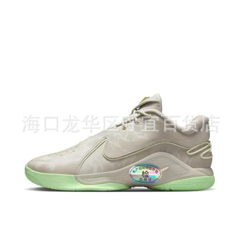 کفش بسکتبال مردانه و زنانه LeBron James نسخه صحیح پوتیان 22 با چندین طرح قابل انتخاب FZ1098-100
