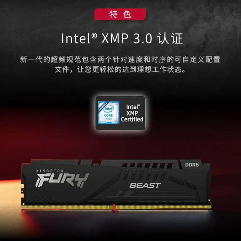 رم Kingston ShenTiao DDR5 6000MHz 16GB*2 رم دسکتاپ نسل پنجم سری Beast