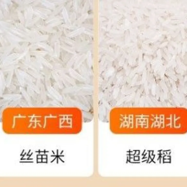 دستگاه برنج‌کوب حذف حشرات برنج خانگی و تجاری، حذف شپشه و کرم برنج 220V دستگاه الک حشرات برنج