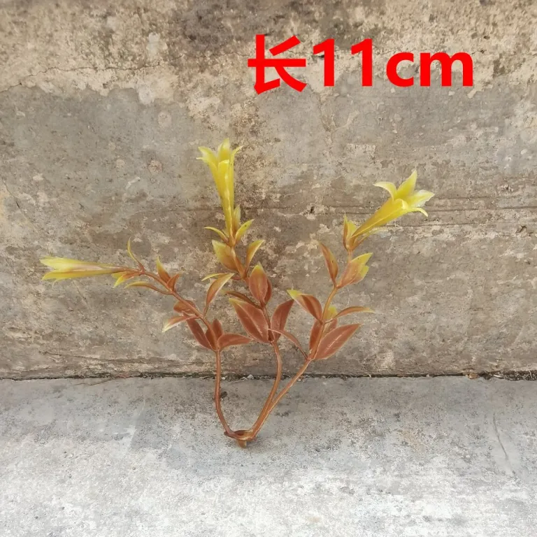 تصویر کالا