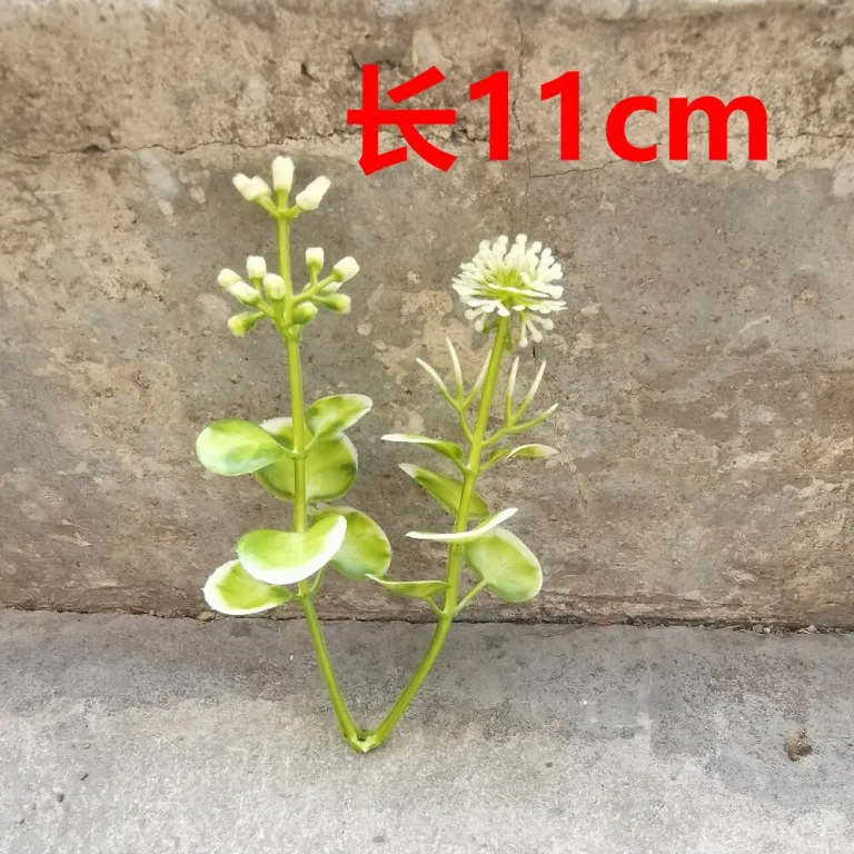 تصویر کالا