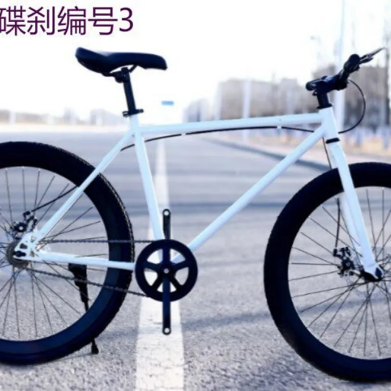 دوچرخه تک‌سرعته با ترمز دیسکی دوبل، جاده‌ای فوق سبک، ساده، مناسب دانش‌آموز و بزرگسال، رنگارنگ و کلاسیک