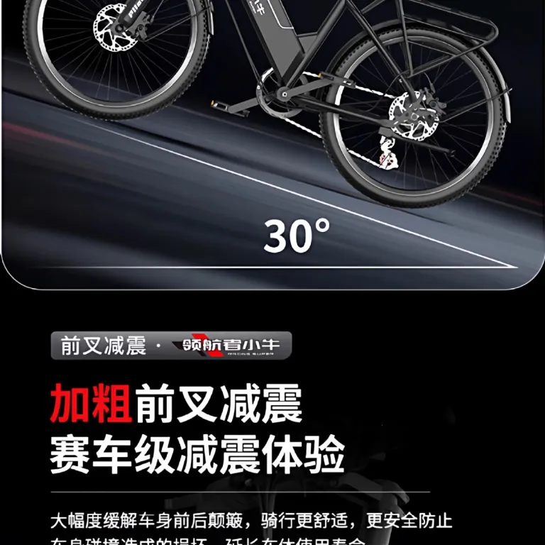دوچرخه برقی کمکی کارخانه E-bike دوچرخه کوهستان 21 دوچرخه برقی سرعتی 26 اینچ دوچرخه برقی