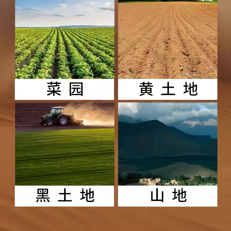 تیلر تک‌چرخ دیزلی تقویت‌شده با خنک‌کننده آبی، گاوآهن برگردان‌دار ریلی، تیلر کوچک دستی بین ردیفی برای شخم‌زنی